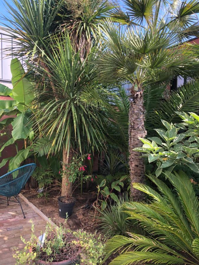 La Petite Maison Dans La Jungle Chartres-de-Bretagne Екстер'єр фото